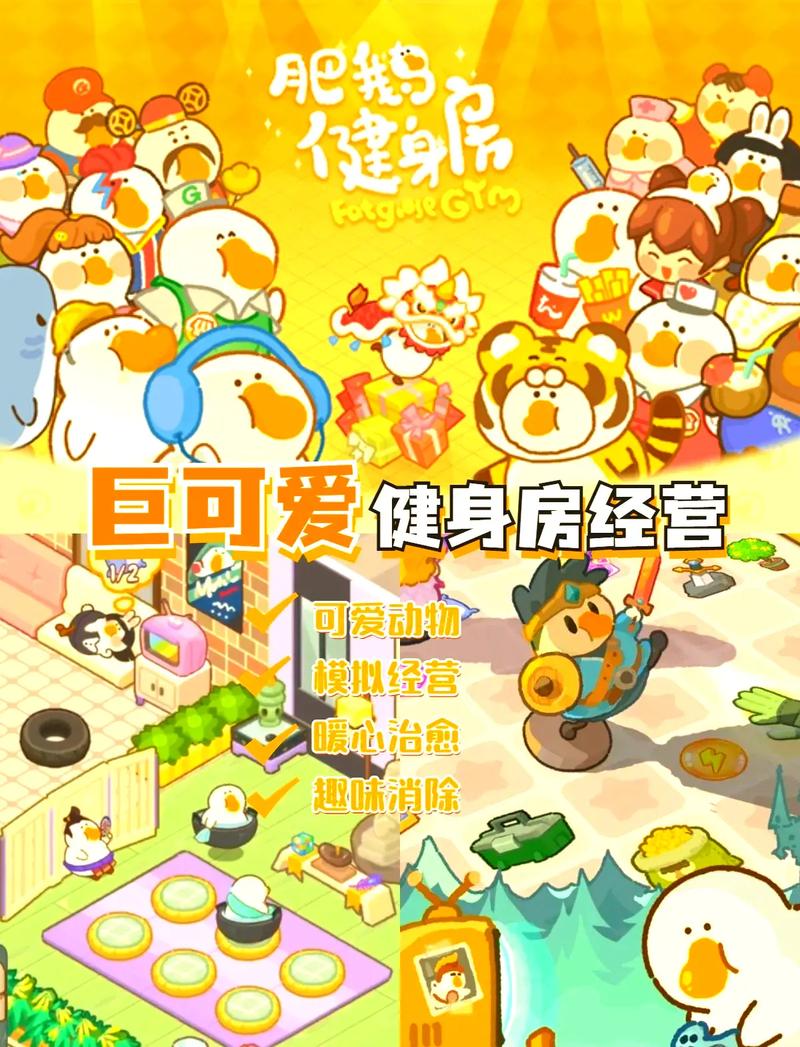 肥鹅健身房内置