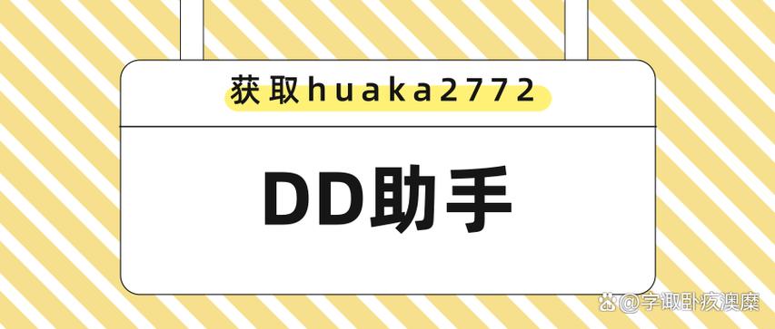 dd助手
