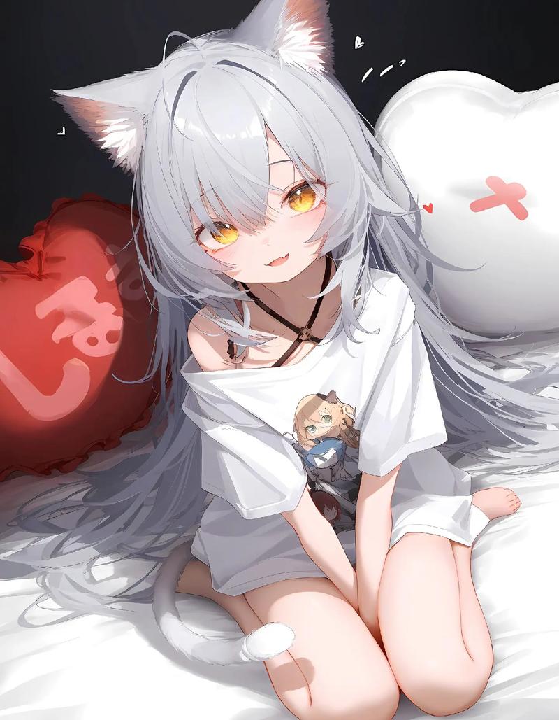 猫耳577