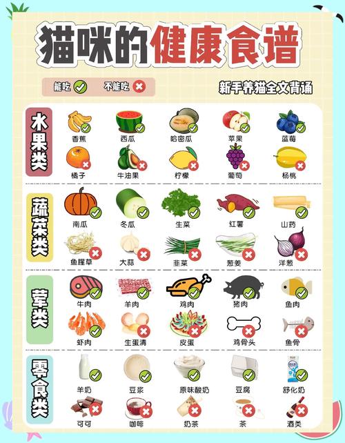 猫咪30内置菜