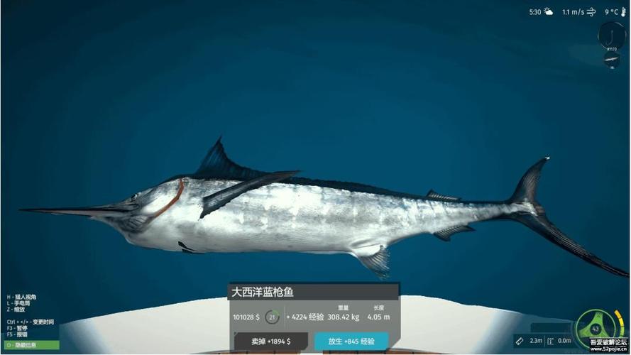 终极钓鱼模拟器2破解版无限金币vip
