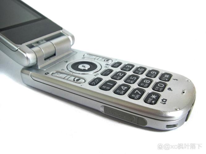 老王v221