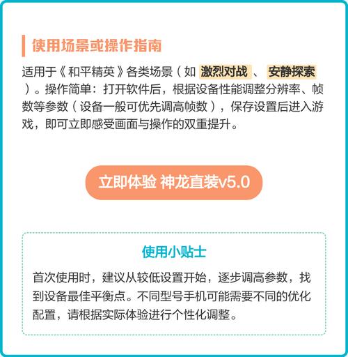 神龙直装和平精