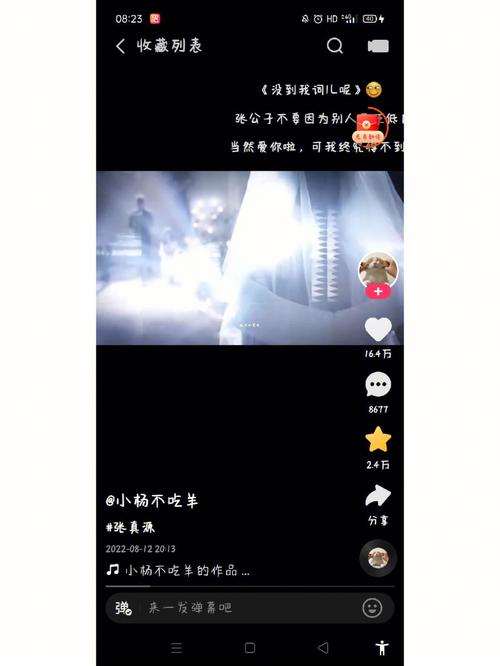 快手播放记录黄化版