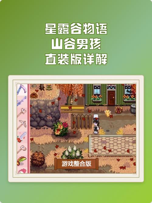 星露谷物语R18山谷男孩直装无限能量修改