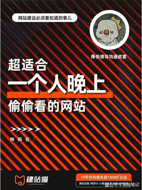 晚上禁用的十大入口内置会员