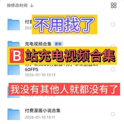 b站破解充电收费视频软件