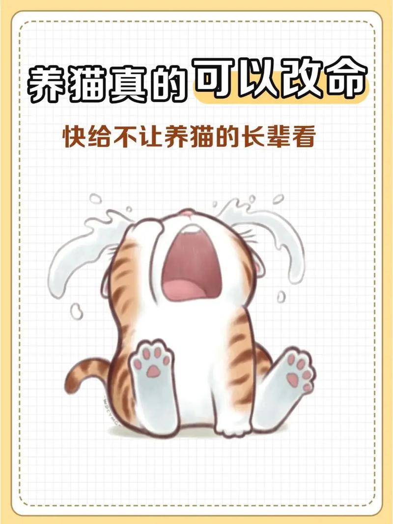养了个猫版不用实名认证无限能量版