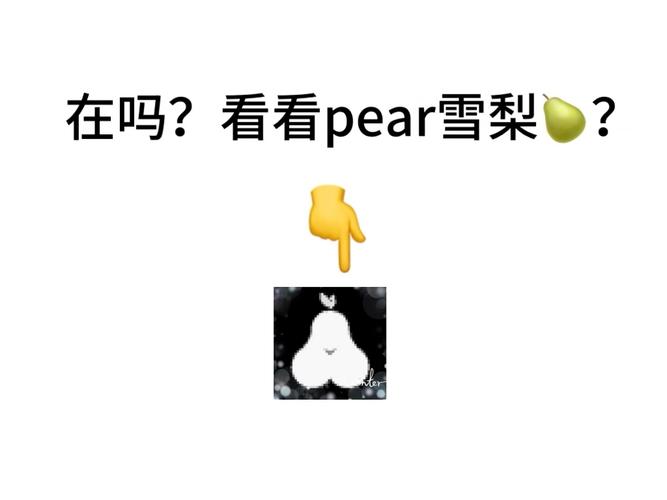 雪梨pear二维码微博绅士版