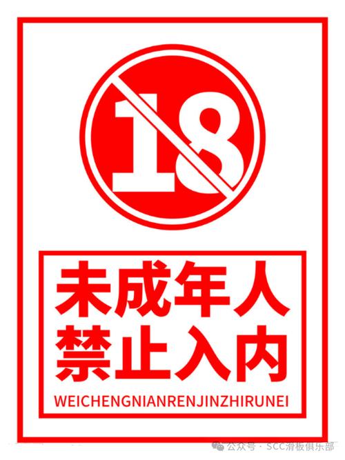 18岁禁止入内净化版不闪退版
