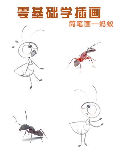 法画