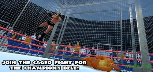 wwe摔跤革命3d汉化版