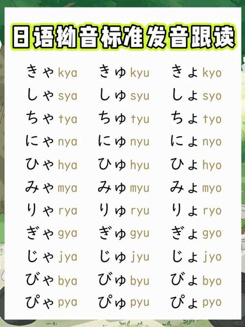 揞音