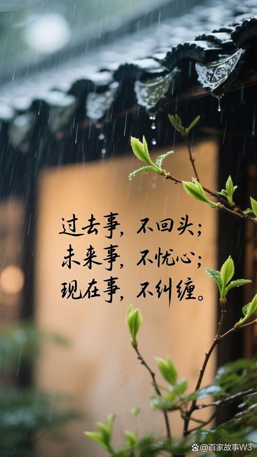 纷纷不扰官方版