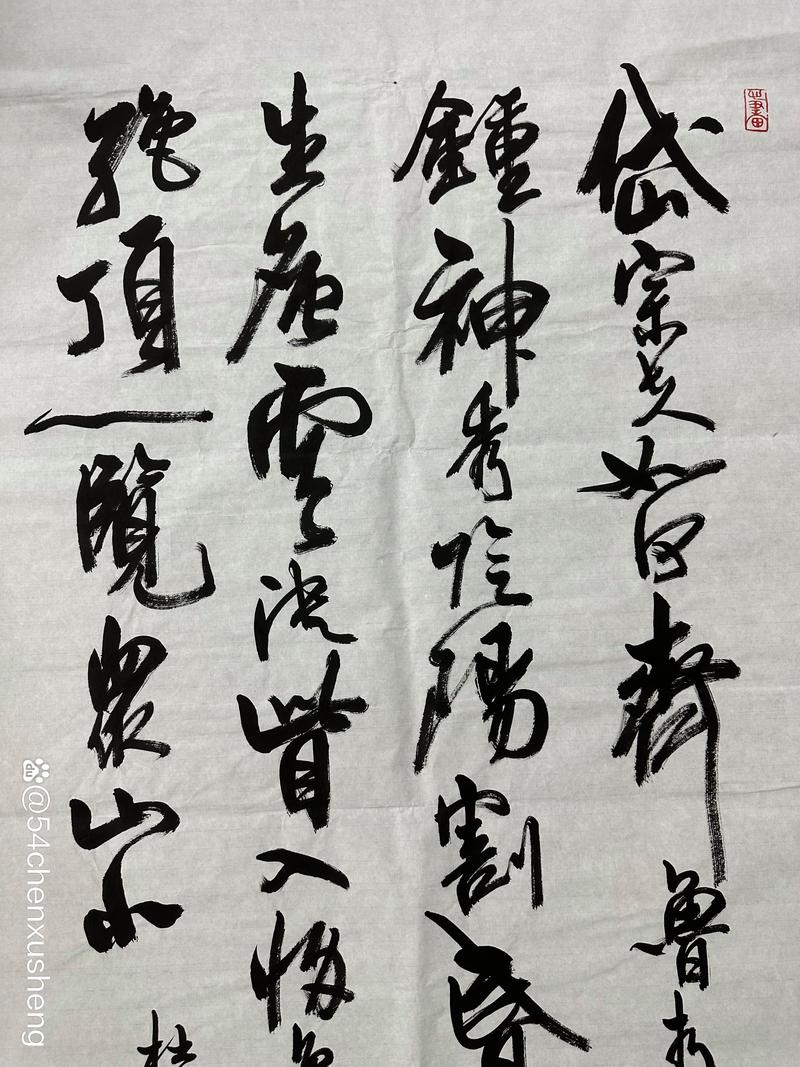 周慧珺免费版