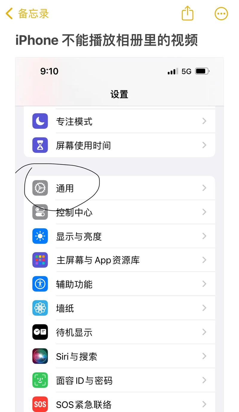 把手机app的视频怎么不了