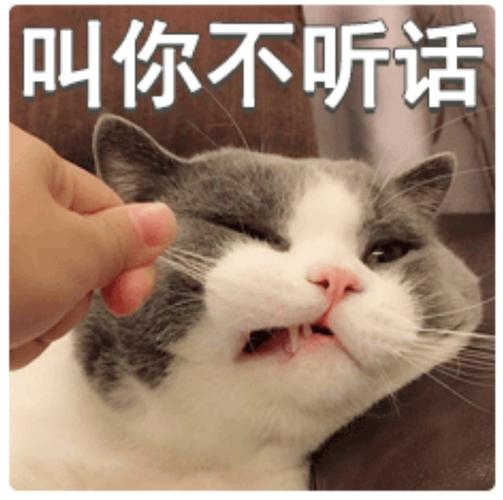 叫你不听话无病发布版