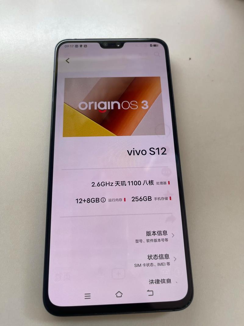 vivo手机2剧场版