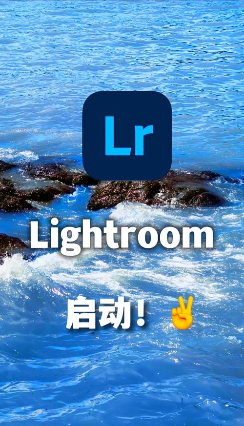 lr手机版免费版无限能量破解版2022免费版