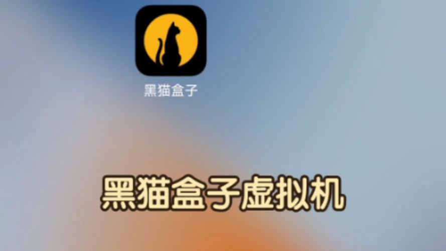 黑猫盒子虚拟机会员版v142 安卓解锁版