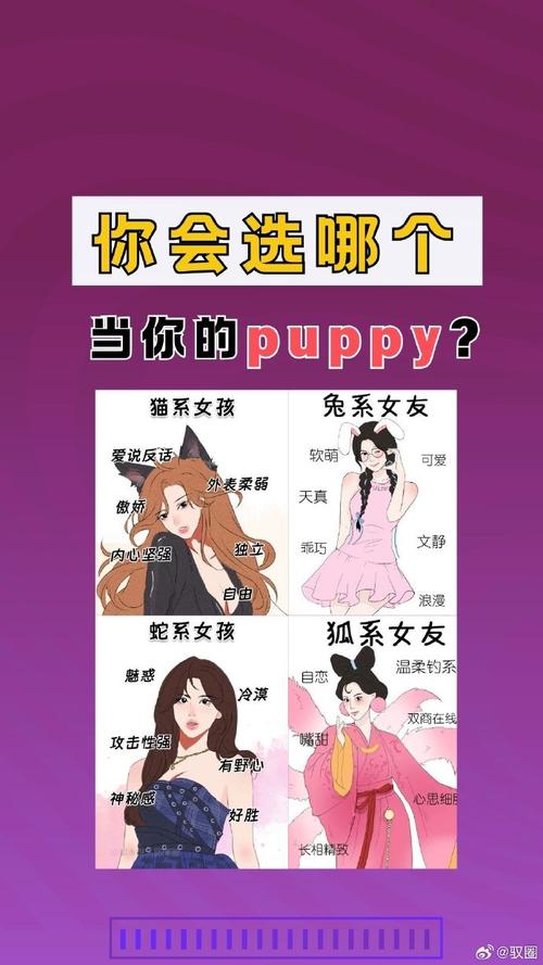 驭圈版纯净无广告版