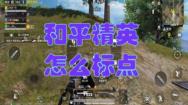 和平精英标点瞬