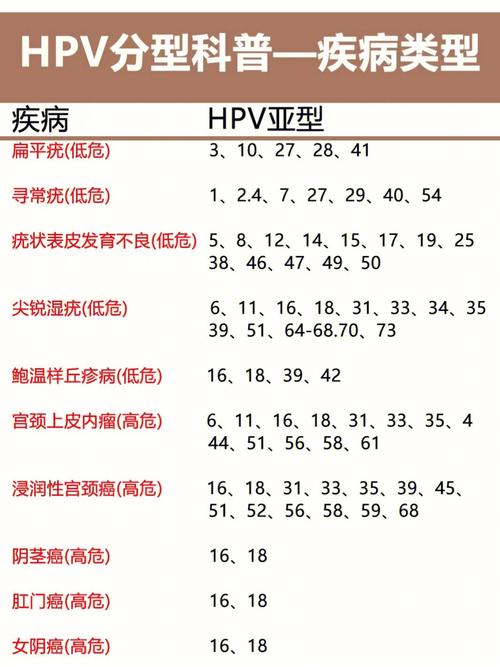 九·幺高危风险免费版安装兑换码离线版
