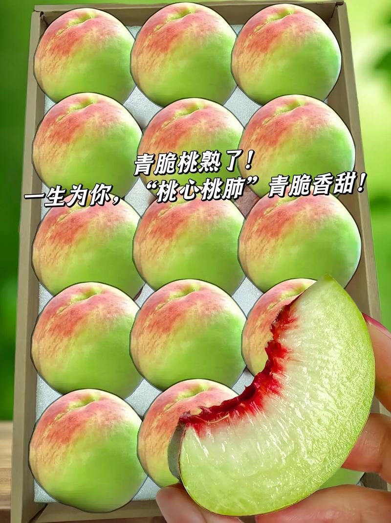 水蜜桃817绿色版汉化版无限能量破解版