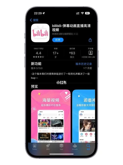 bilibili版本