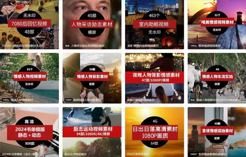91短视频网页入口网站在线观看