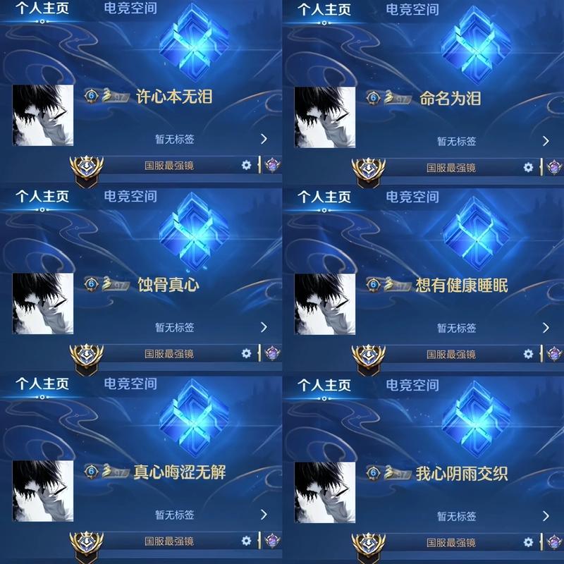 免费王者号无人用的