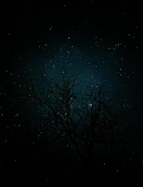 没有星星的夜里