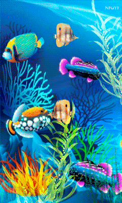 水族馆动态屏保