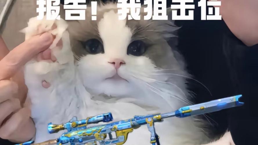 cf画说开黑