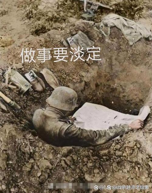 表情包战争全人可提版