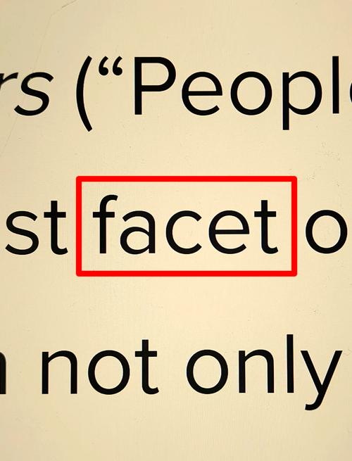 faces中文意思汉化版免费无限制版