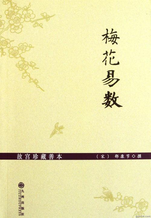 孔令伟梅花易数手机版