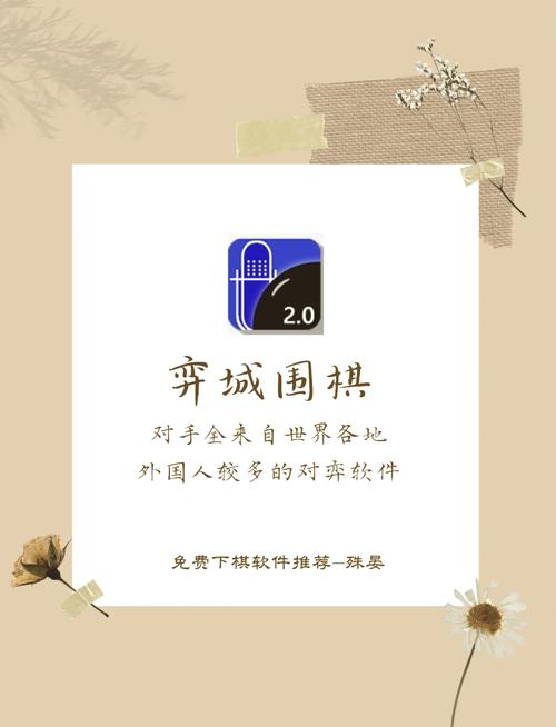 弈城围棋官方正内置VIP