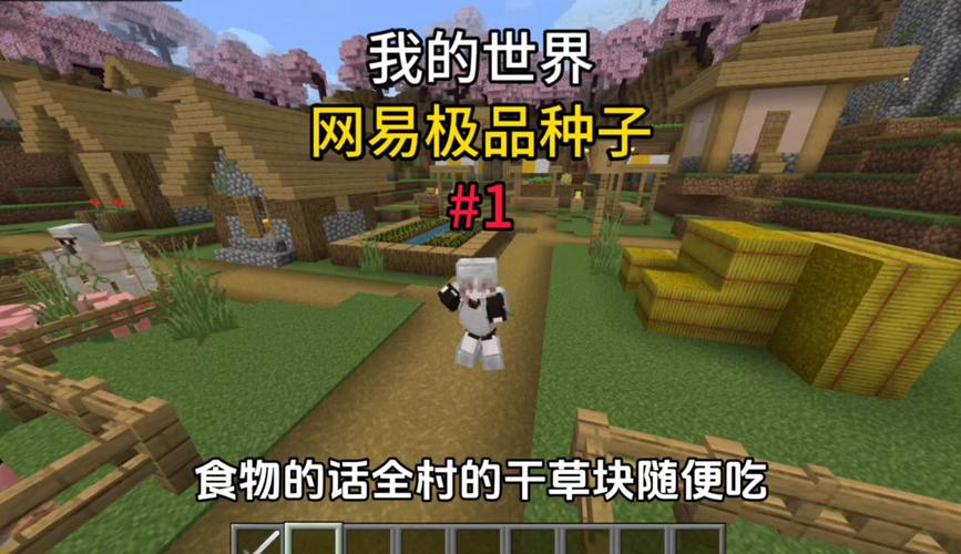 网易我的世界种