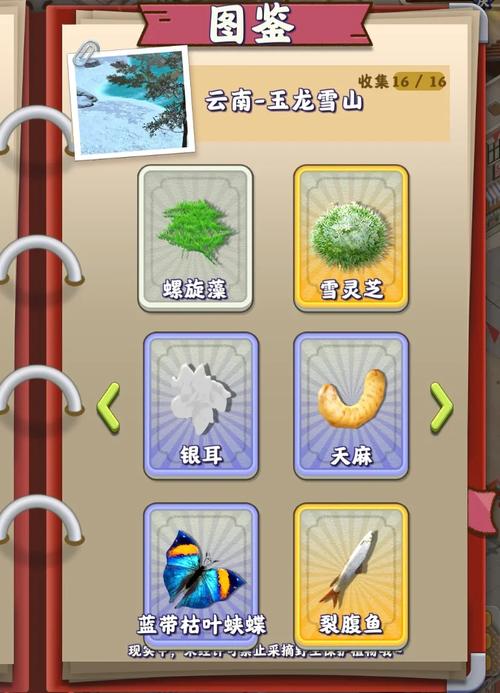 折相思夺笋高手破解版内置作弊