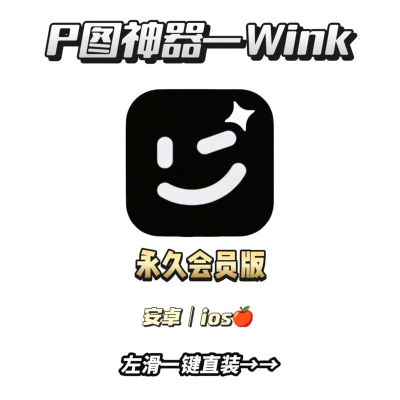 wink破解免费版下载安装最新版无限制版