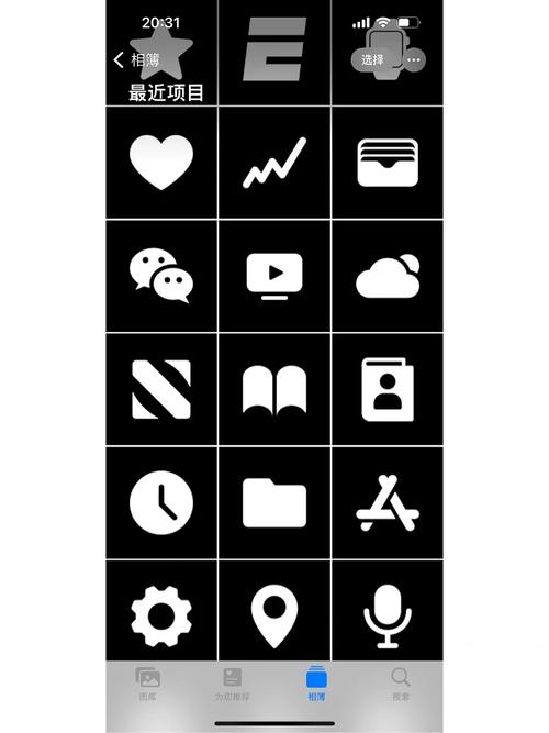 APPenjoy20软件库黑色老版