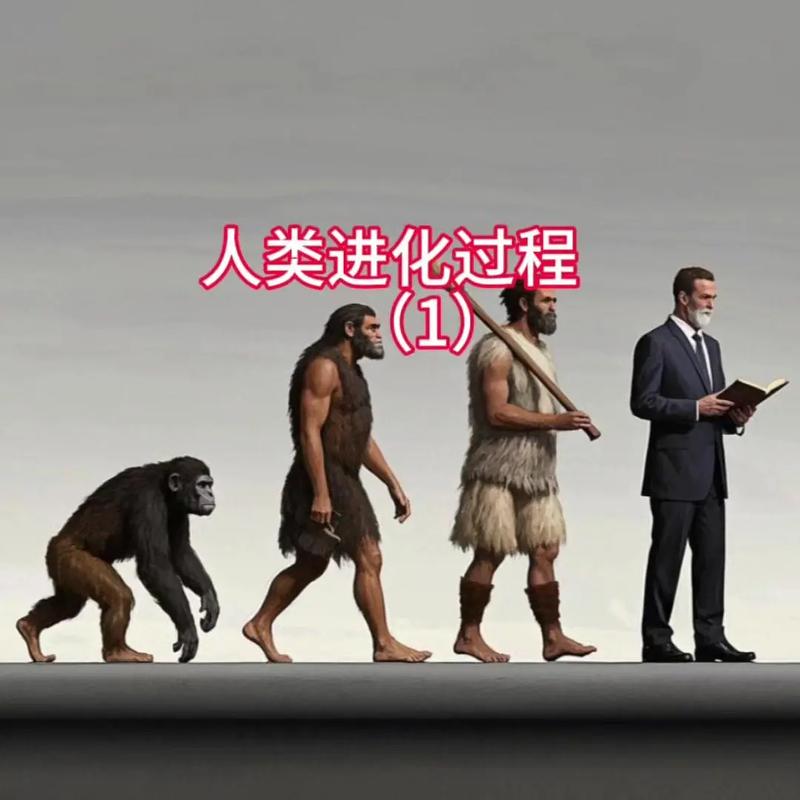 人类无限进化无
