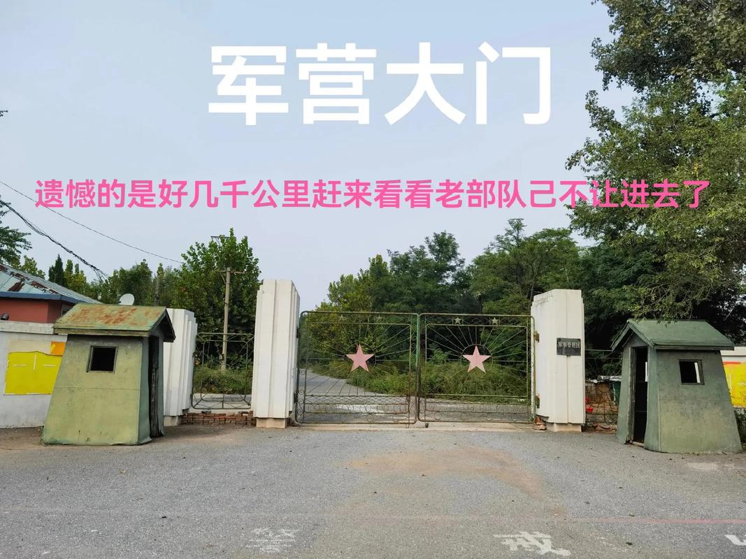 炮兵社区怎么测试新版
