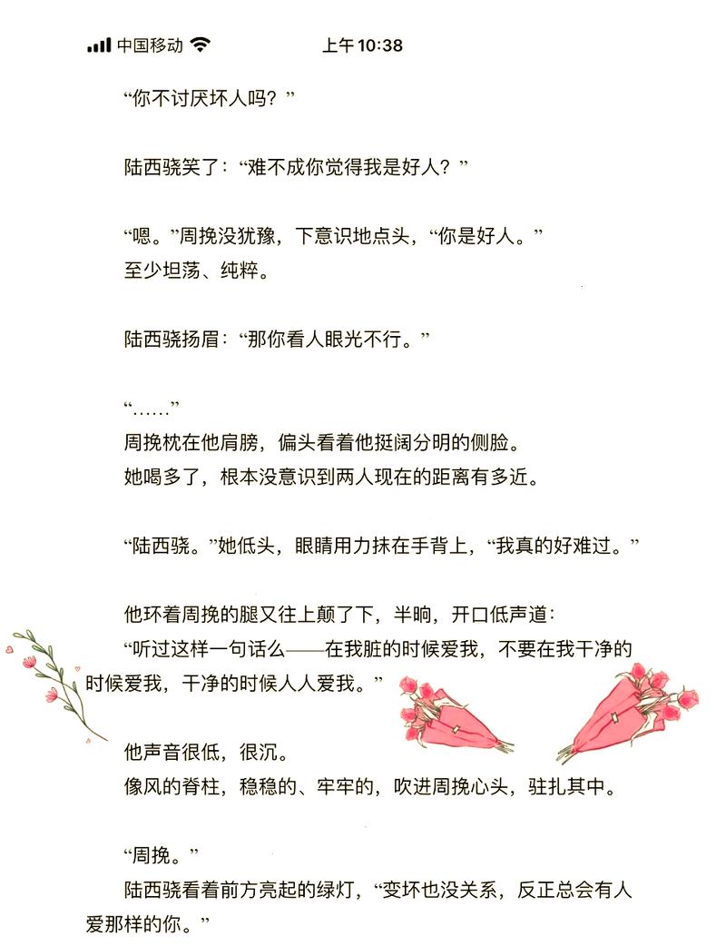 《坠落》小说T