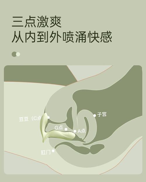 叼黑通用版内置VIP