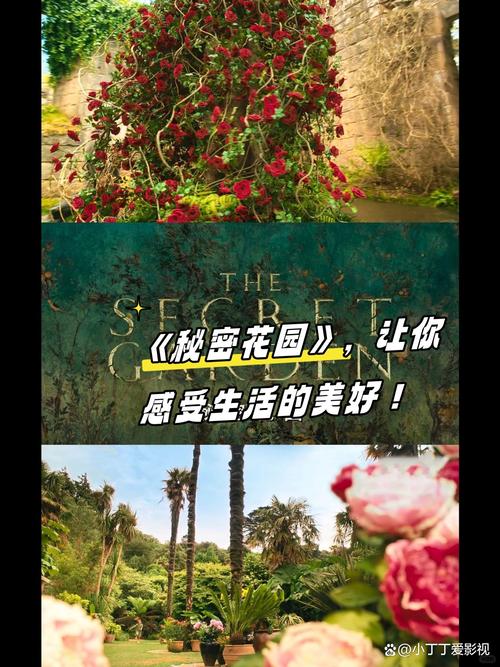 《私人花园》广