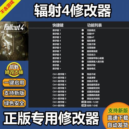 闪点行动2修改器