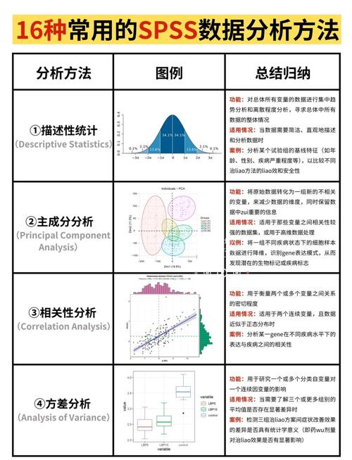 在线spss分析