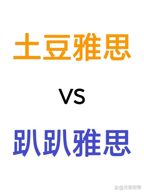 土豆雅思安装版